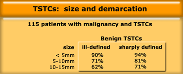 Probability of a lesion being benign using size and edge as characterization