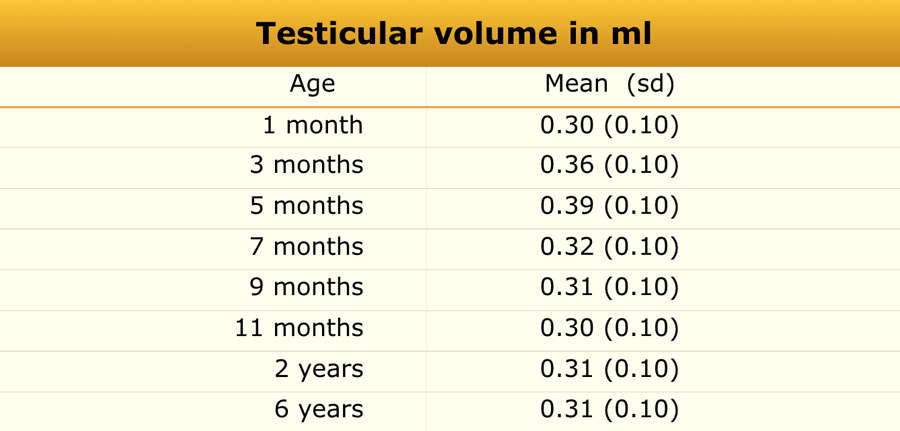 Normal Testis Size
