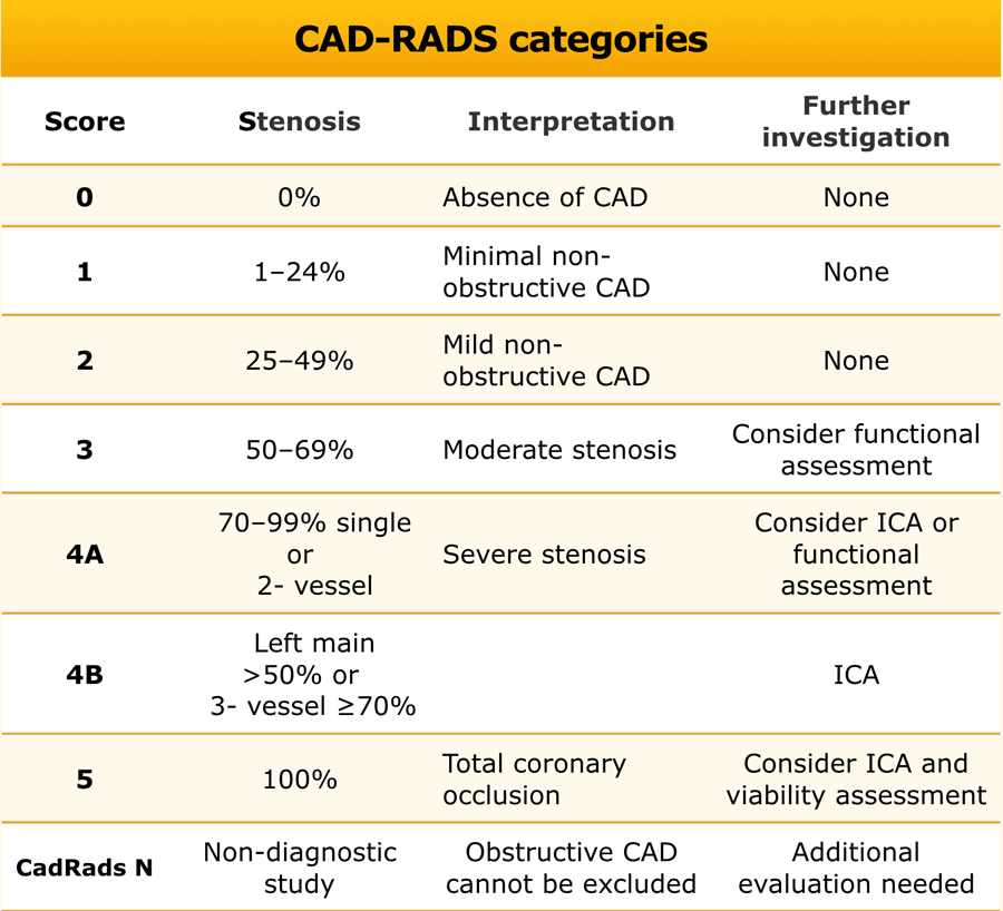 Rads 3 что это значит. CAD rads классификация. CAD rads шкала. Vi-rads классификация. CAD-rads 1).