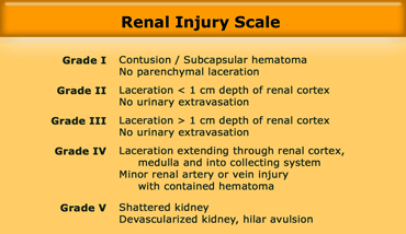 Renal injury scale according to the Organ Injury Scale of the American Association of Surgery of Trauma (AAST)
