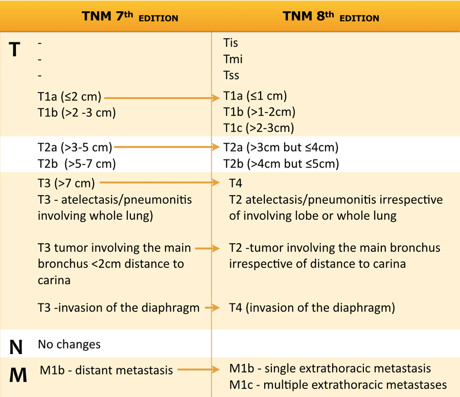 tnm prostate cancer 8th edition