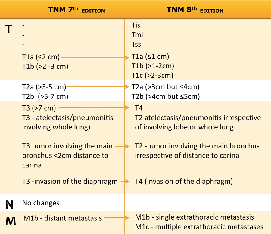 Lung Cancer Tumor Size Chart