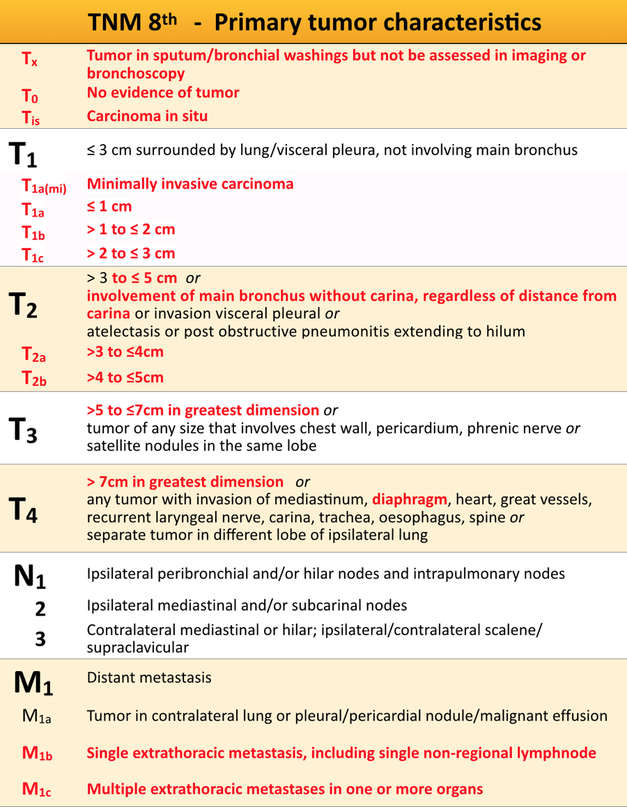 Stages Of Lung Cancer Chart