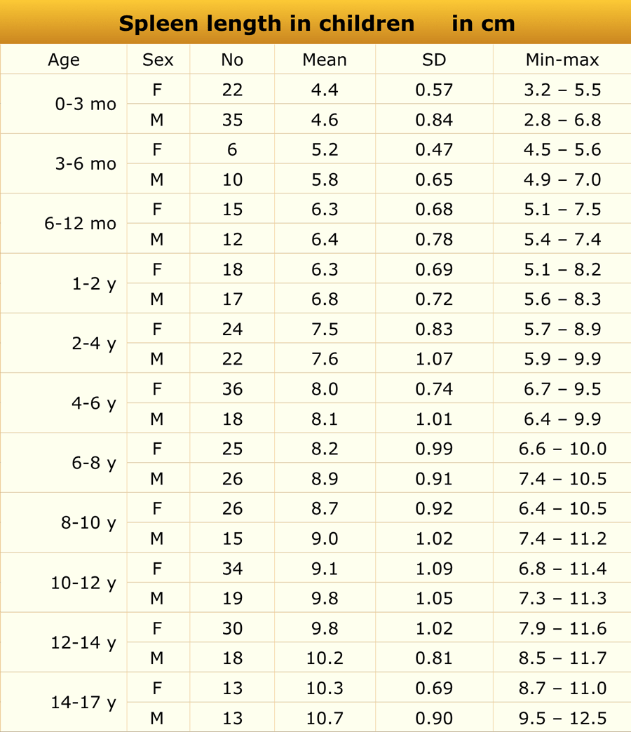 Uterus Size Chart