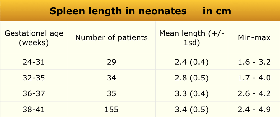 Spleen Normal Size