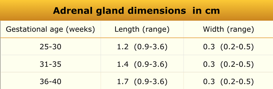 Liver Size By Age Chart