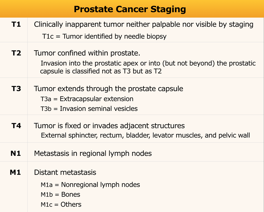 prostate tumor size chart