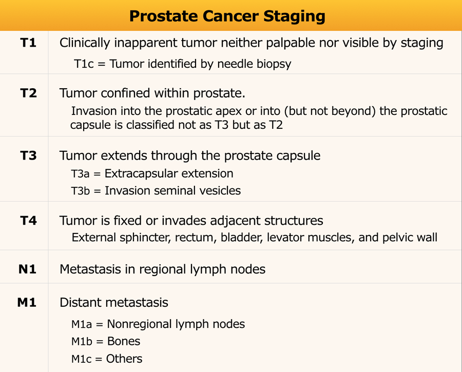 Prostate Cancer Stages