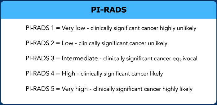 The Basics Of PI RADS Scoring And How AI Can Help 53 OFF